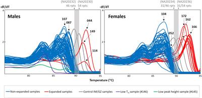 A Single Common Assay for Robust and Rapid Fragile X Mental Retardation Syndrome Screening From Dried Blood Spots